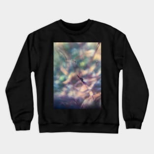 Ant Crewneck Sweatshirt